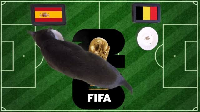OK9 - Soi kèo Tây Ban Nha vs Bỉ: Mèo tiên tri chọn La Roja 3 OK9 - Soi kèo Tây Ban Nha vs Bỉ: Mèo tiên tri chọn La Roja